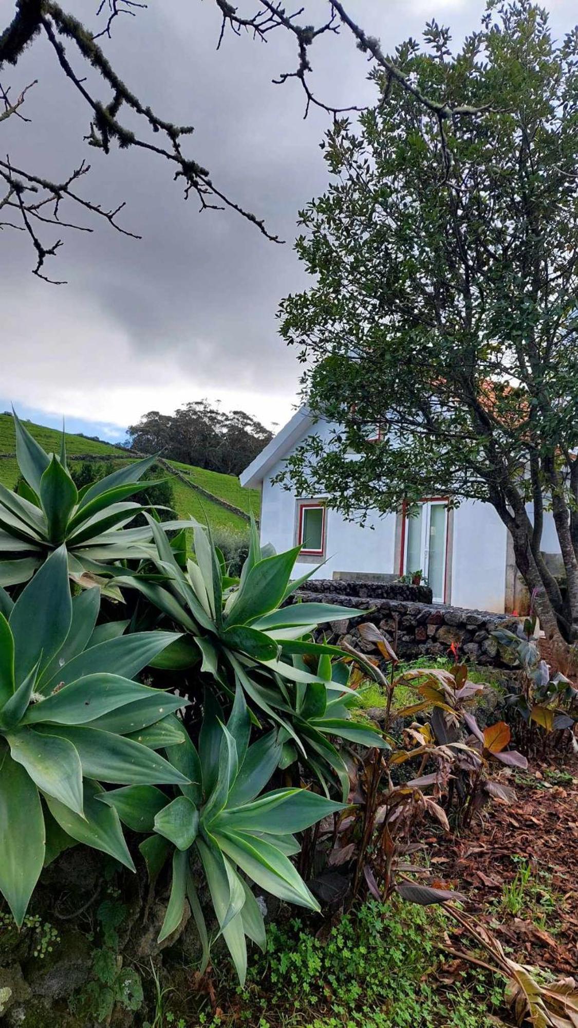 Casa De Campo Franco Da Serra Angra do Heroísmo Exterior foto